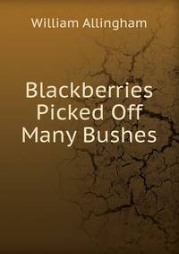 Blackberries Picked Off Many Bushes
