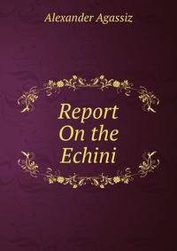 Report On the Echini