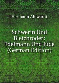 Schwerin Und Bleichroder: Edelmann Und Jude (German Edition)