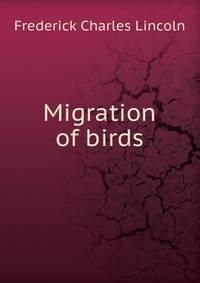 Migration of birds