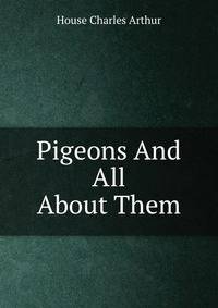 Pigeons And All About Them