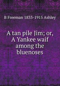 A tan pile Jim; or, A Yankee waif among the bluenoses