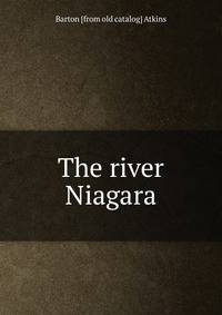 The river Niagara
