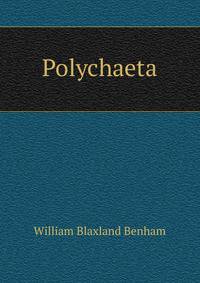 Polychaeta