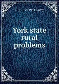 York state rural problems