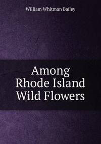 Among Rhode Island Wild Flowers