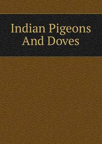 Indian Pigeons And Doves