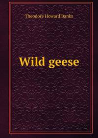 Wild geese