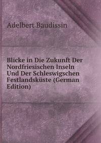 Blicke in Die Zukunft Der Nordfriesischen Inseln Und Der Schleswigschen Festlandskuste (German Edition)