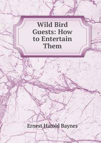Wild Bird Guests: How to Entertain Them