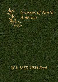 Grasses of North America