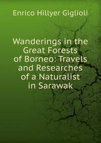 Wanderings in the Great Forests of Borneo: Travels and Researches of a Naturalist in Sarawak