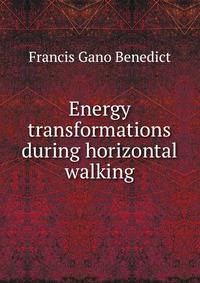 Energy transformations during horizontal walking