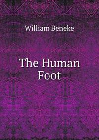 The Human Foot