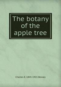The botany of the apple tree