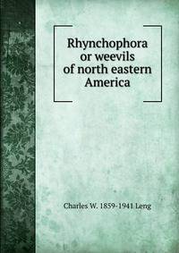 Rhynchophora or weevils of north eastern America