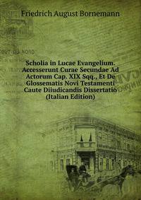 Scholia in Lucae Evangelium. Accesserunt Curae Secundae Ad Actorum Cap. XIX Sqq., Et De Glossematis Novi Testamenti Caute Diiudicandis Dissertatio (Italian Edition)