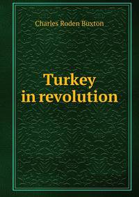 Turkey in revolution