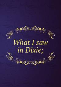 What I saw in Dixie;