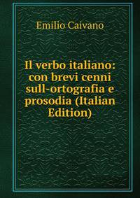 Il verbo italiano: con brevi cenni sull-ortografia e prosodia (Italian Edition)