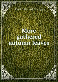 More gathered autumn leaves