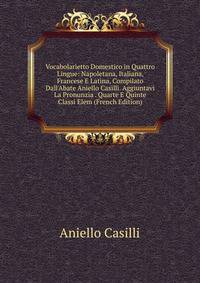 Vocabolarietto Domestico in Quattro Lingue: Napoletana, Italiana, Francese E Latina, Compilato Dall'Abate Aniello Casilli. Aggiuntavi La Pronunzia . Quarte E Quinte Classi Elem (French Edition)