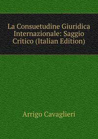 La Consuetudine Giuridica Internazionale: Saggio Critico (Italian Edition)