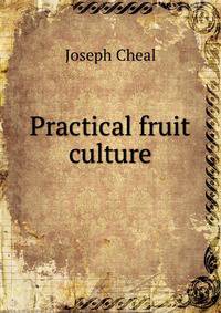 Practical fruit culture