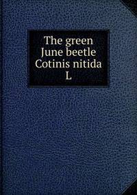 The green June beetle Cotinis nitida L.