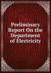 Preliminary Report On the Department of Electricity