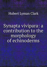 Synapta vivipara: a contribution to the morphology of echinoderms