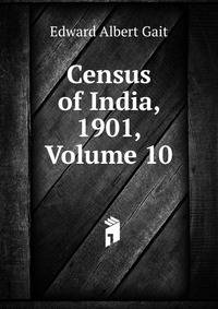 Census of India, 1901, Volume 10