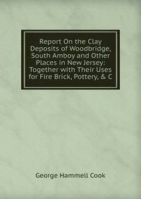 Report On the Clay Deposits of Woodbridge, South Amboy and Other Places in New Jersey: Together with Their Uses for Fire Brick, Pottery, &amp; C