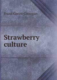 Strawberry culture