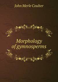 Morphology of gymnosperms