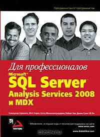 Microsoft SQL Server Analysis Services 2008 и MDX для профессионалов