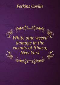 White pine weevil damage in the vicinity of Ithaca, New York