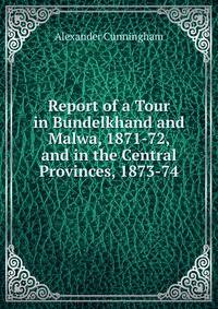Report of a Tour in Bundelkhand and Malwa, 1871-72, and in the Central Provinces, 1873-74
