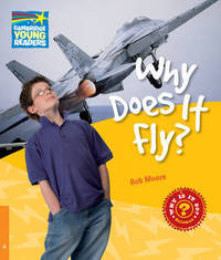 Why Does It Fly? and Other Questions about Flight. Rob Moore