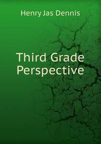 Third Grade Perspective