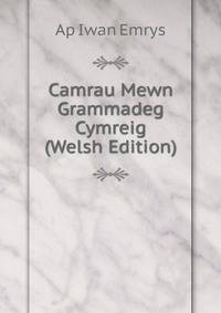 Camrau Mewn Grammadeg Cymreig (Welsh Edition)