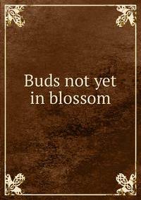 Buds not yet in blossom
