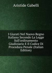 I Giurati Nel Nuovo Regno Italiano Secondo La Legge Sull'ordinamento Giudiziario E Il Codice Di Procedura Penale (Italian Edition)