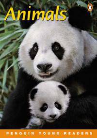 PYR 1:Animals