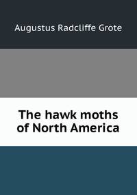 The hawk moths of North America