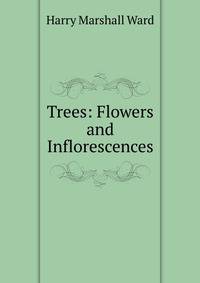 Trees: Flowers and Inflorescences
