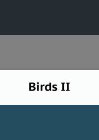 Birds II