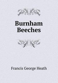Burnham Beeches