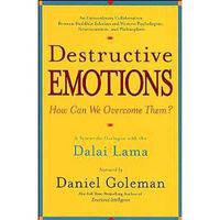 Destructive Emotions
