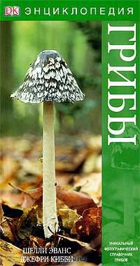 Грибы